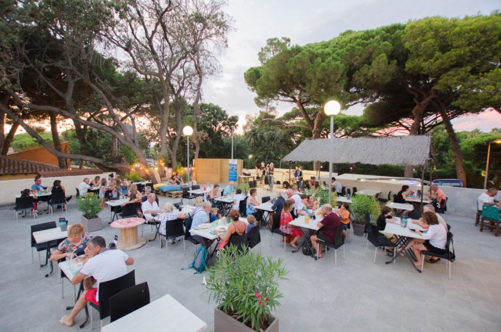 Grande terrasse sous les pins au coucher du soleil